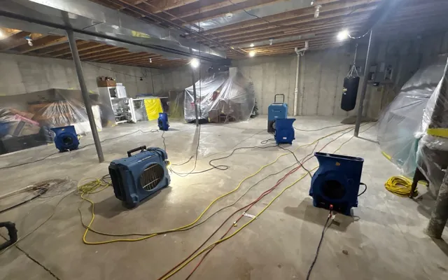 Basement Flood Cleanup in Five Points, Alabama