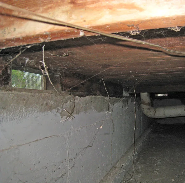 Crawlspace Water Removal in Madison, Alabama