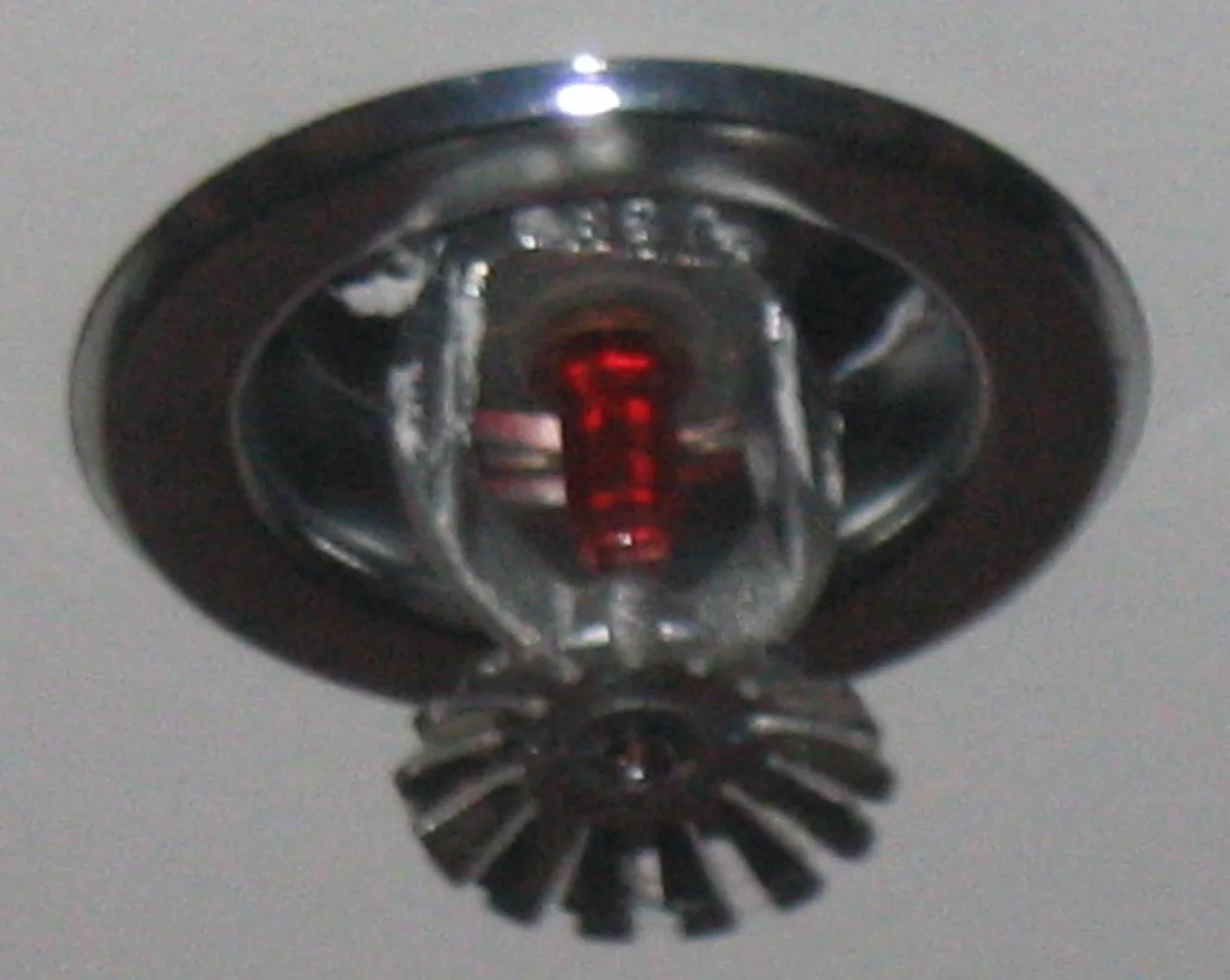 Fire Sprinkler Discharge in Five Points, Alabama