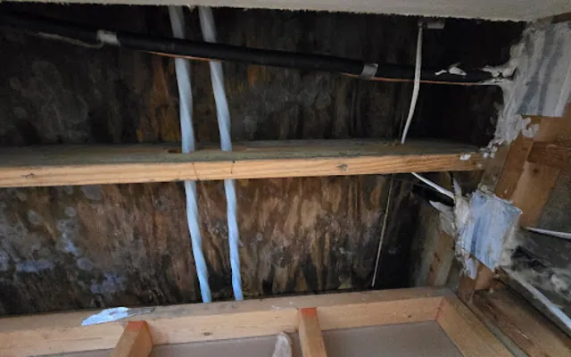 Attic Water Damage in Five Points, Alabama