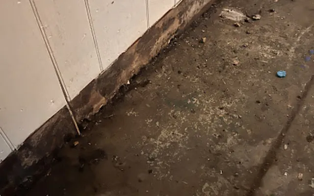 Drain Backup in Five Points, Alabama